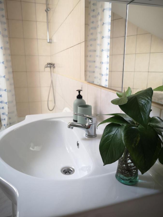 Ferienwohnung Hoke Lakas Ödenburg Exterior foto